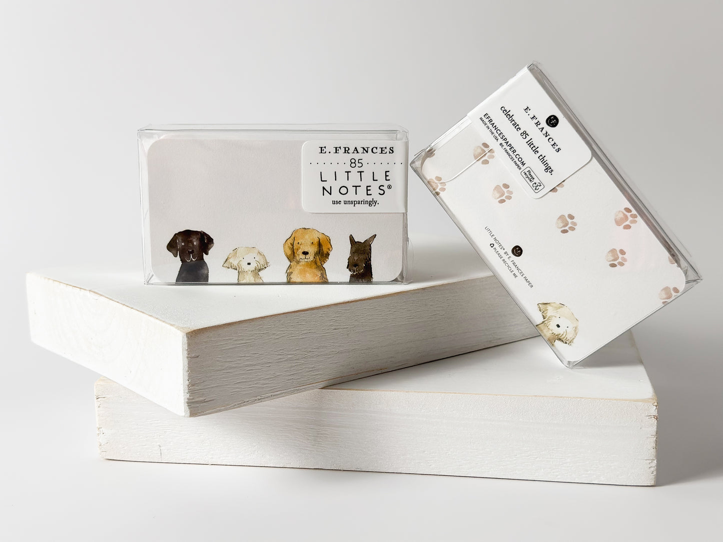 Dog Days Little Notes