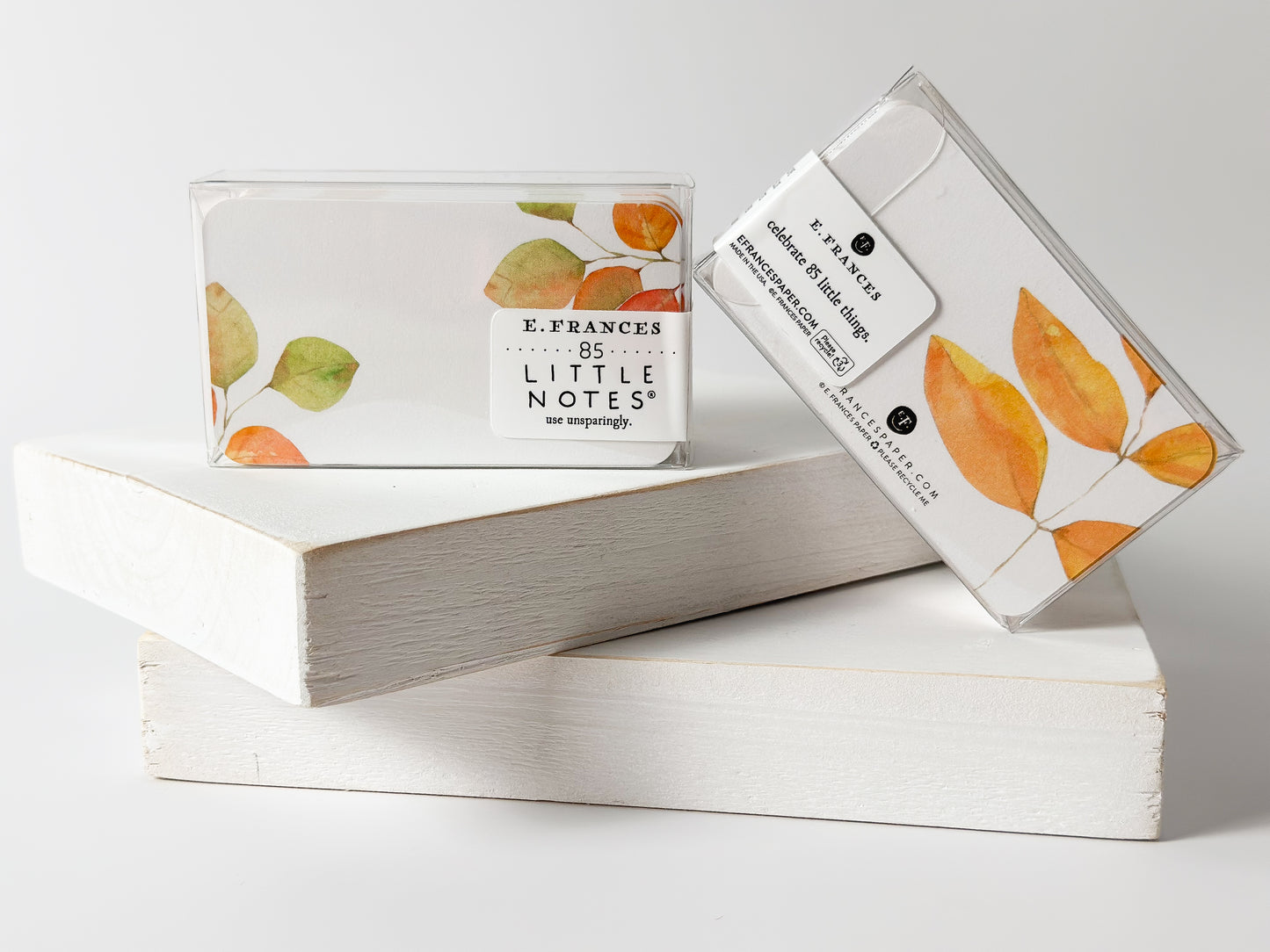 Fall Leaves Little Notes