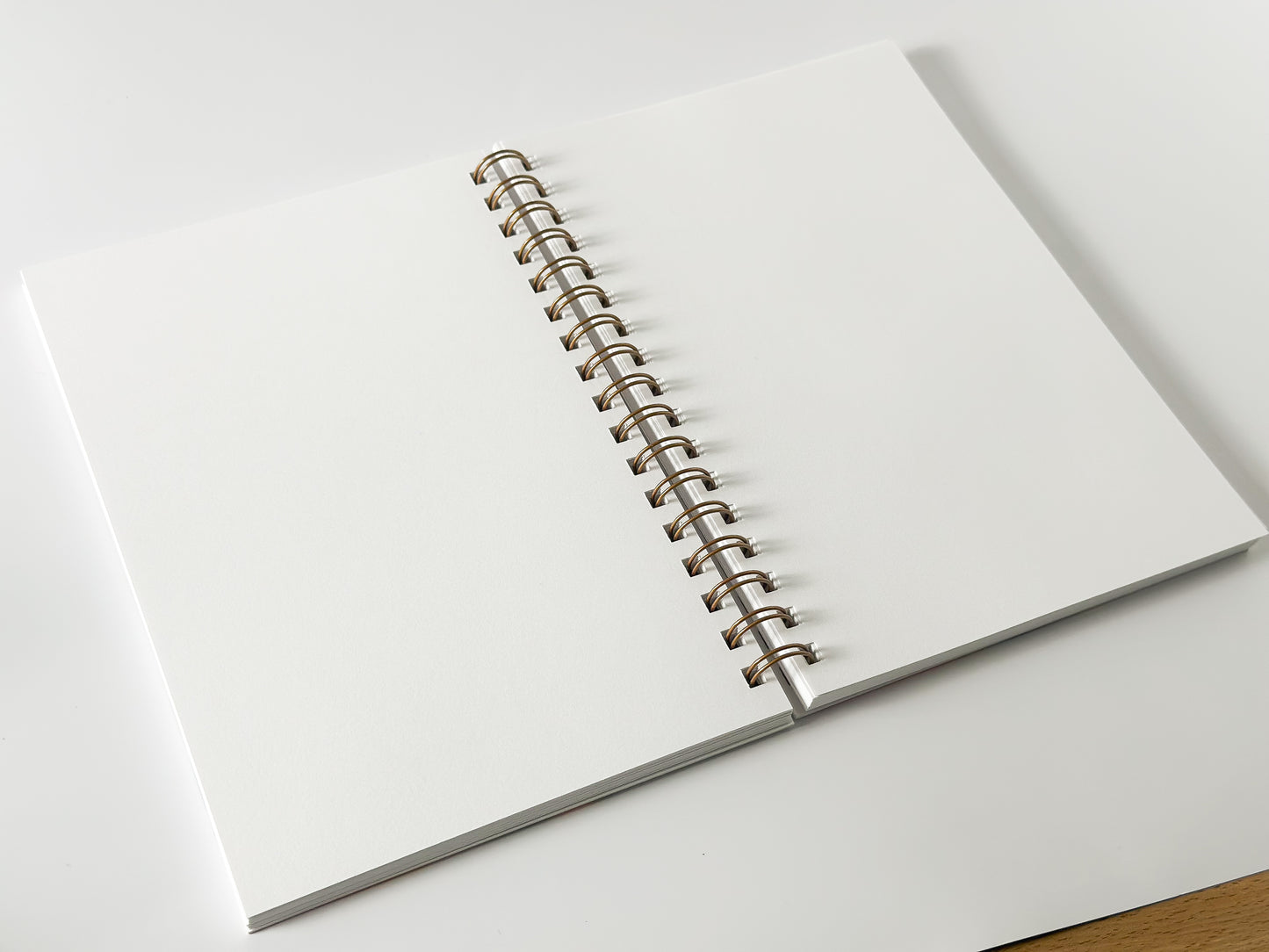 Moglea Painted Notebook Zion