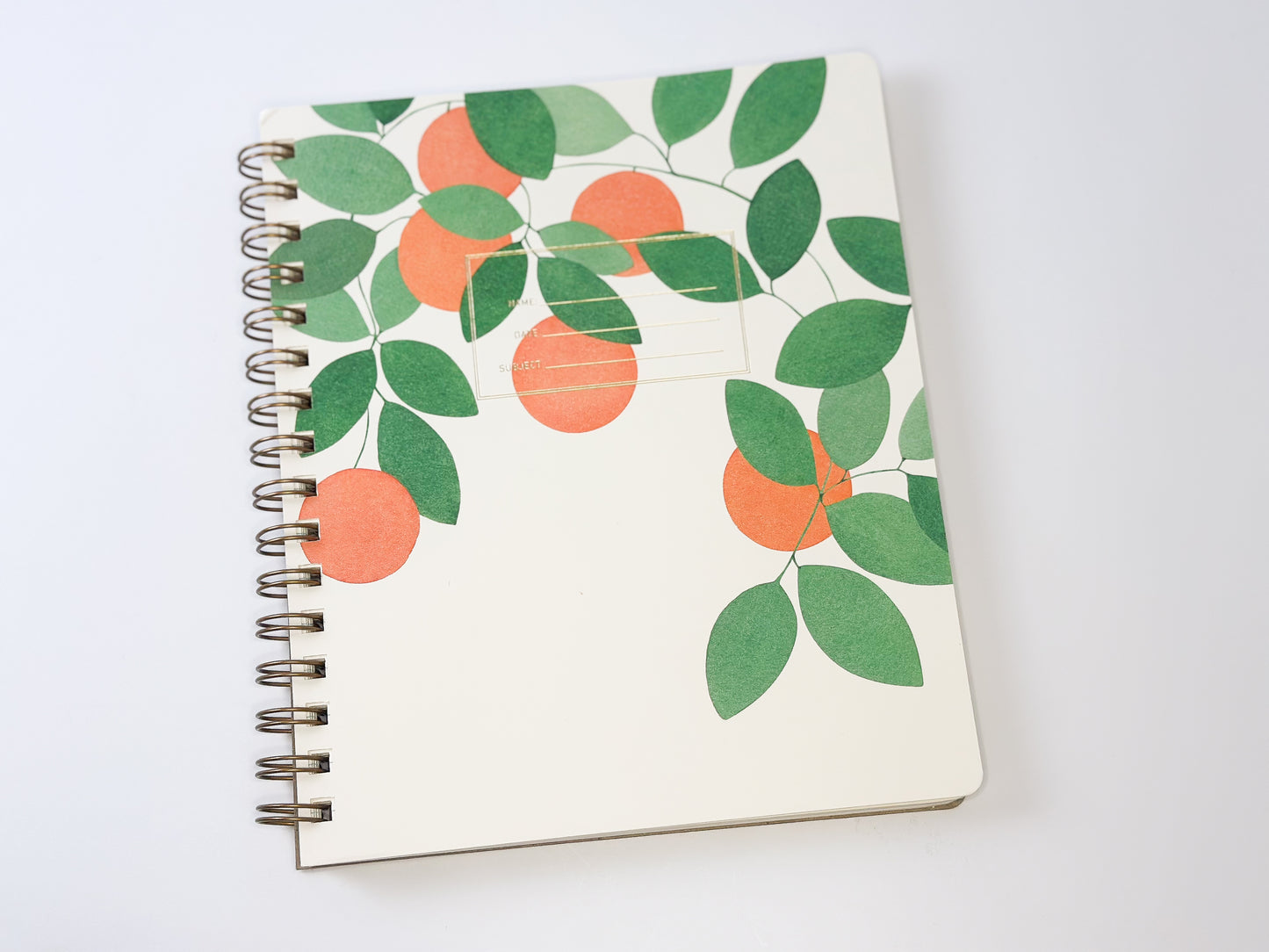 Orange Grove Notebook